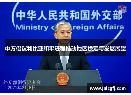 中方倡议利比亚和平进程推动地区稳定与发展展望